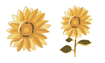 ひまわり(線無し)