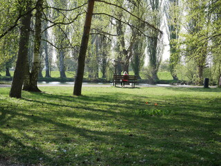 alone in park