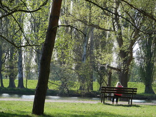 alone in park