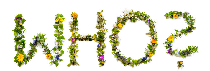 Flower, Branches And Blossom Letter Building English Word Who. White Isolated Background