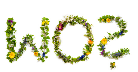 Flower, Branches And Blossom Letter Building German Word Wo Means Where. White Isolated Background