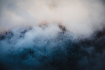 Obraz premium A beautiful view of misty forests as viewed from the spring of Kamniška Bistrica river in Slovenia