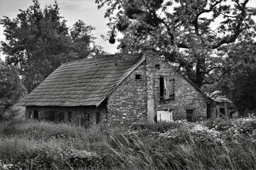 Rural © jholy