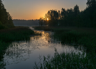 Fototapeta na wymiar morning landscape with lake, green grass in the foreground, sunrise on the lake, summer