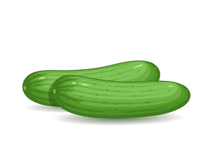 vector illustration of green cucumbers