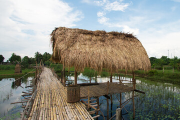 Fototapeta na wymiar A wooden hut in the middle of the water and a wooden pathway connecting to the resting spot Thatched roof According to the way of life of people living in southern Thailand