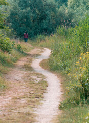 Obraz premium Lonely girl walking on a footpath surrounded by trees and high grass. Pathway in Vacaresti Park Nature Reserve.