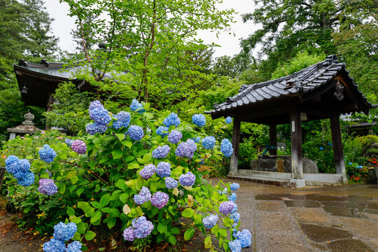 資福寺 Images Browse 191 Stock Photos Vectors And Video Adobe Stock
