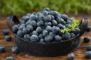 fresh large blueberries on an iron plate