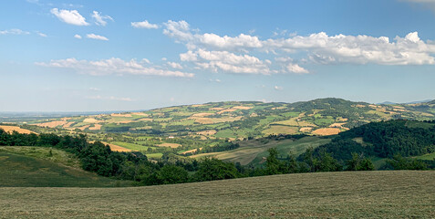 Beautiful vineyards and cropped fields on a sunny day on the soft hills of the Colli Piacentini, near Piacenza, Emilia Romagna, Italy. Local grape varieties are Barbera, Malvasia, Ortrugo, Bonarda