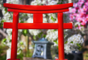 Fototapeta na wymiar Torii Gate With Pear and Cherry Blossoms in background