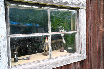 black and white cat sitting inside looking out a window
