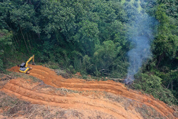 Deforest environmental problem. Logging of rain forest to clear land for palm oil plantations in Southeast Asia 