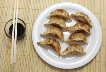 Asian Fried Dumplings on White Plate