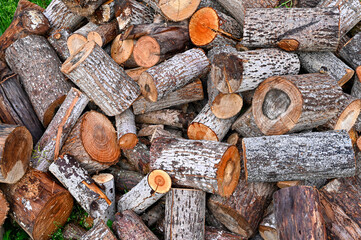 pile of firewood in a garden in Sweden