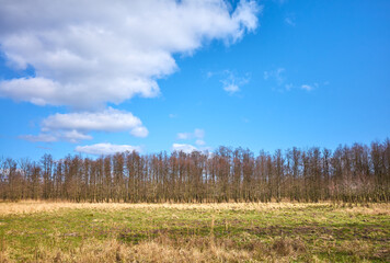 Obraz premium Swidwie Nature Reserve landscape on a sunny day, Poland.
