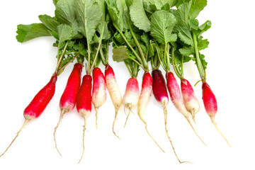 fresh long radish on a white background