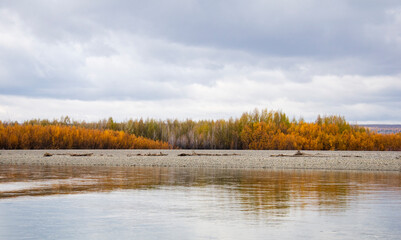 autumn in the forest