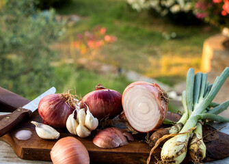 stillleben mit verscjiedenen zwiebel, knoblauch und holzbrett auf der terrasse mit blick in den...