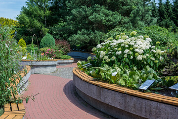 Obraz premium Ogród Arboretum w Bolestraszycach