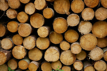 fire logs ready to be delivered