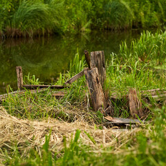 Square photo of a wooden rural pier on a background of trees of a beautiful river