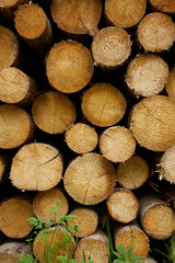 fire logs ready to be delivered