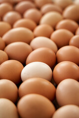 Fresh country eggs. Natural food, environmentally friendly products.