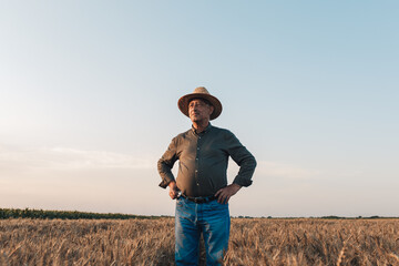 Portrait of senior farmer with hat standing in wheat field at sunset.