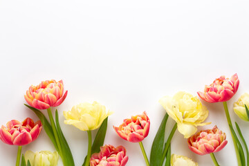 Spring flowers, tulips on pastel colors background. Retro vintage style.