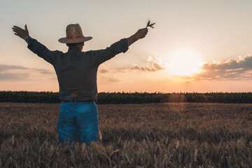 Rear view of senior farmer with hat standing in wheat field at sunset with his arms outstretched.