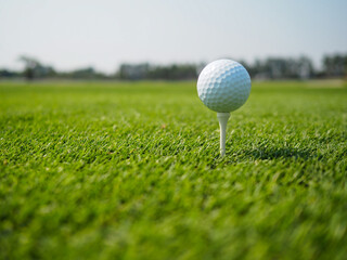 Golf ball on the tee. For golf, ready to hit on the green lawn.