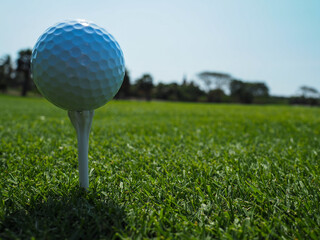 Tee with White golf ball on the green field