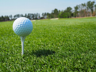 Tee with White golf ball on the green field