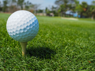 Tee with a white golf ball on the green field outdoor That awaits golfers befriends