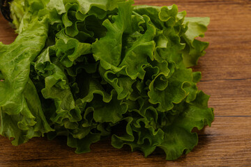 Green lettuce salad heap leaves