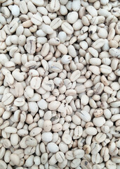 White coffee beans - natural photo from colombia