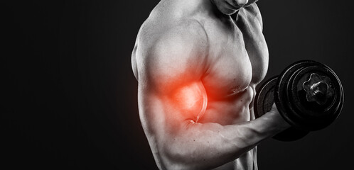 Specialization for biceps in bodybuilding
