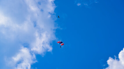 Plakat Skydiver and colorful parachute on the blue sky 