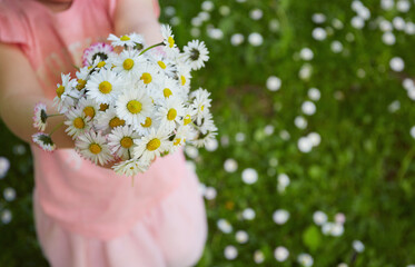 bouquet of daisies