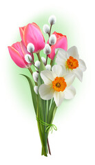 Tulips and daffodils