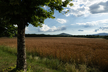 Beautiful view of the fields in a Tuscany countryside in a early summer day in a concept of travel and trekking 