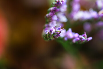 Obraz premium Florist composition.
