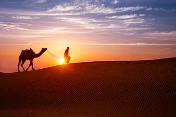 Foto op Canvas Indian cameleer (camel driver) bedouin with camel silhouettes in sand dunes of Thar desert on sunset. Caravan in Rajasthan travel tourism background safari adventure. Jaisalmer, Rajasthan, India © Dmitry Rukhlenko