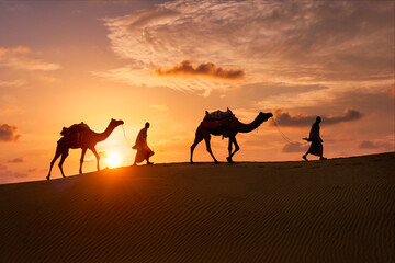 Indian cameleers (camel driver) bedouin with camel silhouettes in sand dunes of Thar desert on sunset. Caravan in Rajasthan travel tourism background safari adventure. Jaisalmer, Rajasthan, India - obrazy, fototapety, plakaty