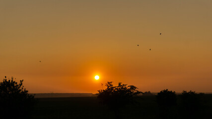 sunrise over the summer field, summer day