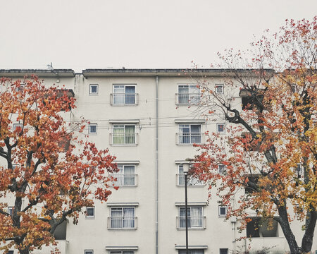 Old Japanese apartments and autumn leaves 秋の日本の団地風景
Processed with VSCO with fp8 preset