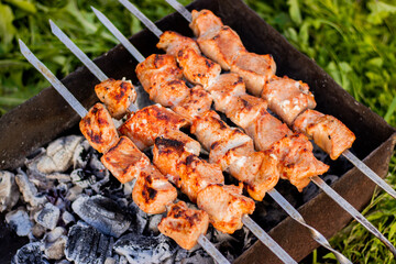  meat is fried on coals. Camping, barbecue