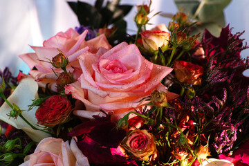 Florist composition.