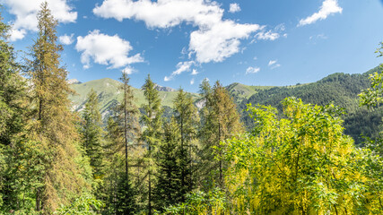 Paysage de montagne dans les Alpes dans le parc du Mercantour - Landscape alpin mountain